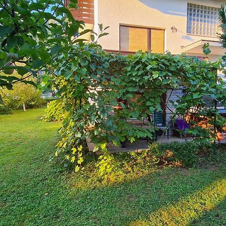 Apartment Ajdna Zirovnica Dış mekan fotoğraf