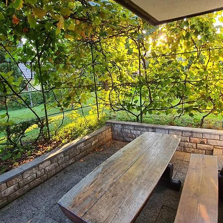 Apartment Ajdna Zirovnica Dış mekan fotoğraf